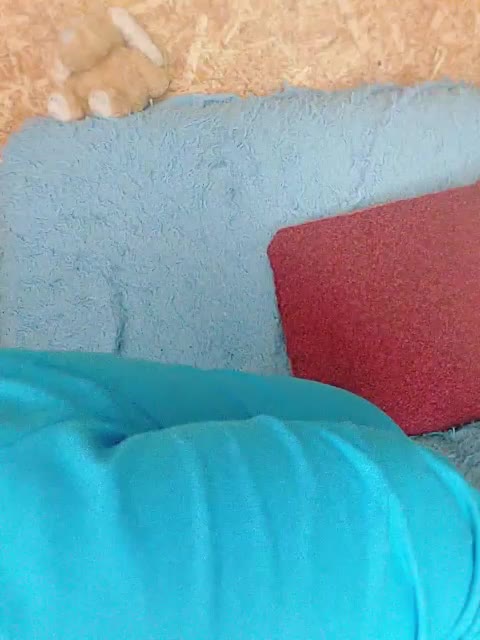 -Your_dream- Приват Записи 2026-03-23