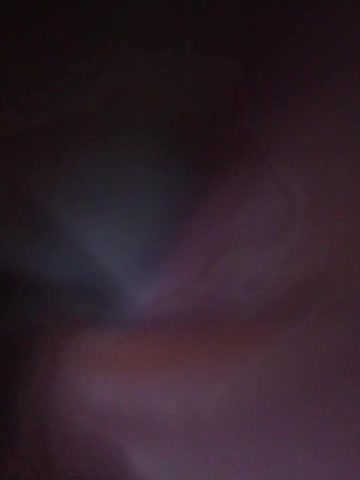 SG-310 Приват Записи 2026-03-24