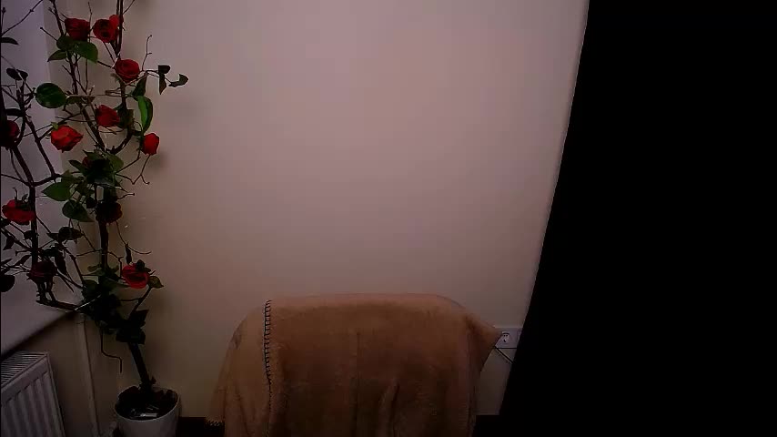 bunnybloom_ Приват Записи 2026-03-24