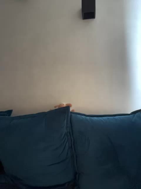 WILDGIRL Приват Записи 2026-03-24