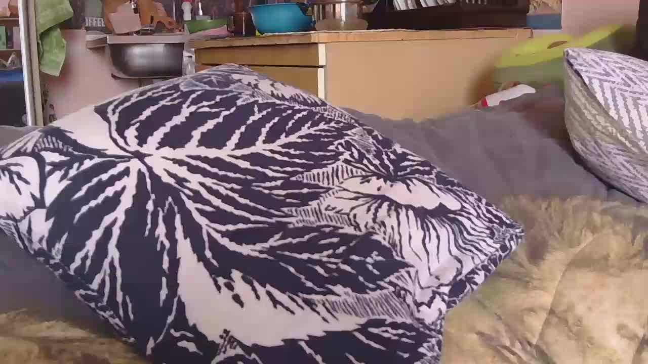 Ornotores_wers Приват Записи 2026-03-24