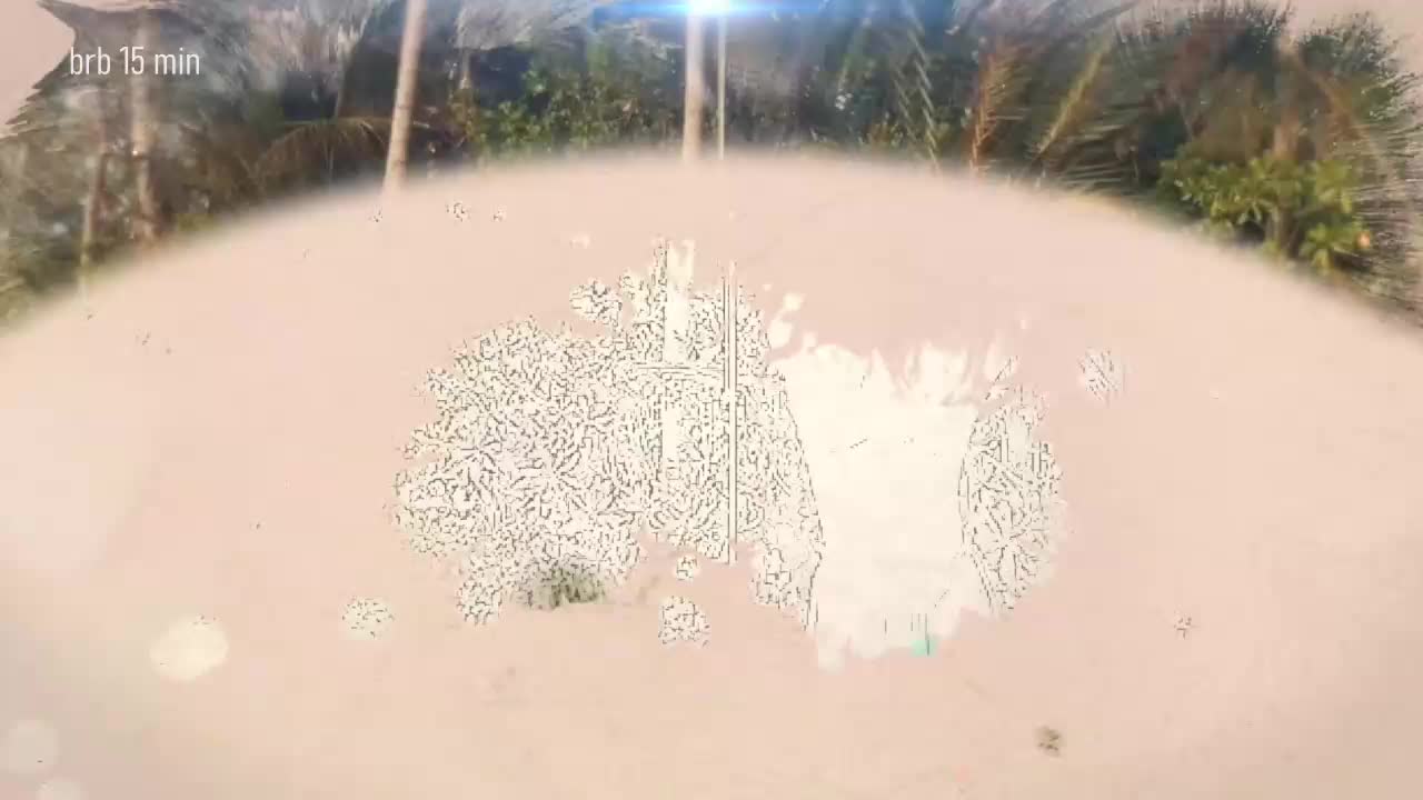 Taanni Приват Записи 2026-03-24