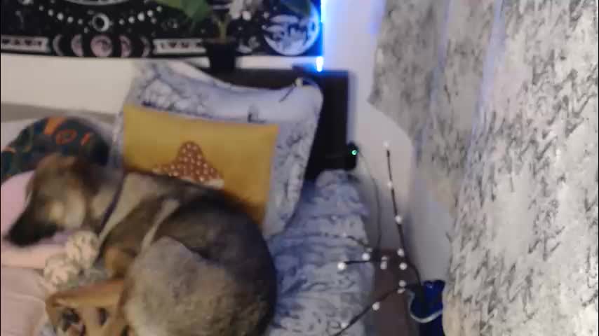 aliens4twenty Приват Записи 2026-03-25