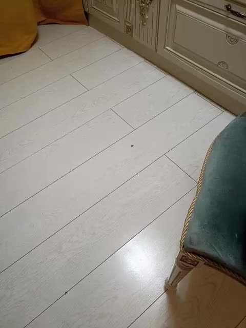 GTQET Приват Записи 2026-03-25