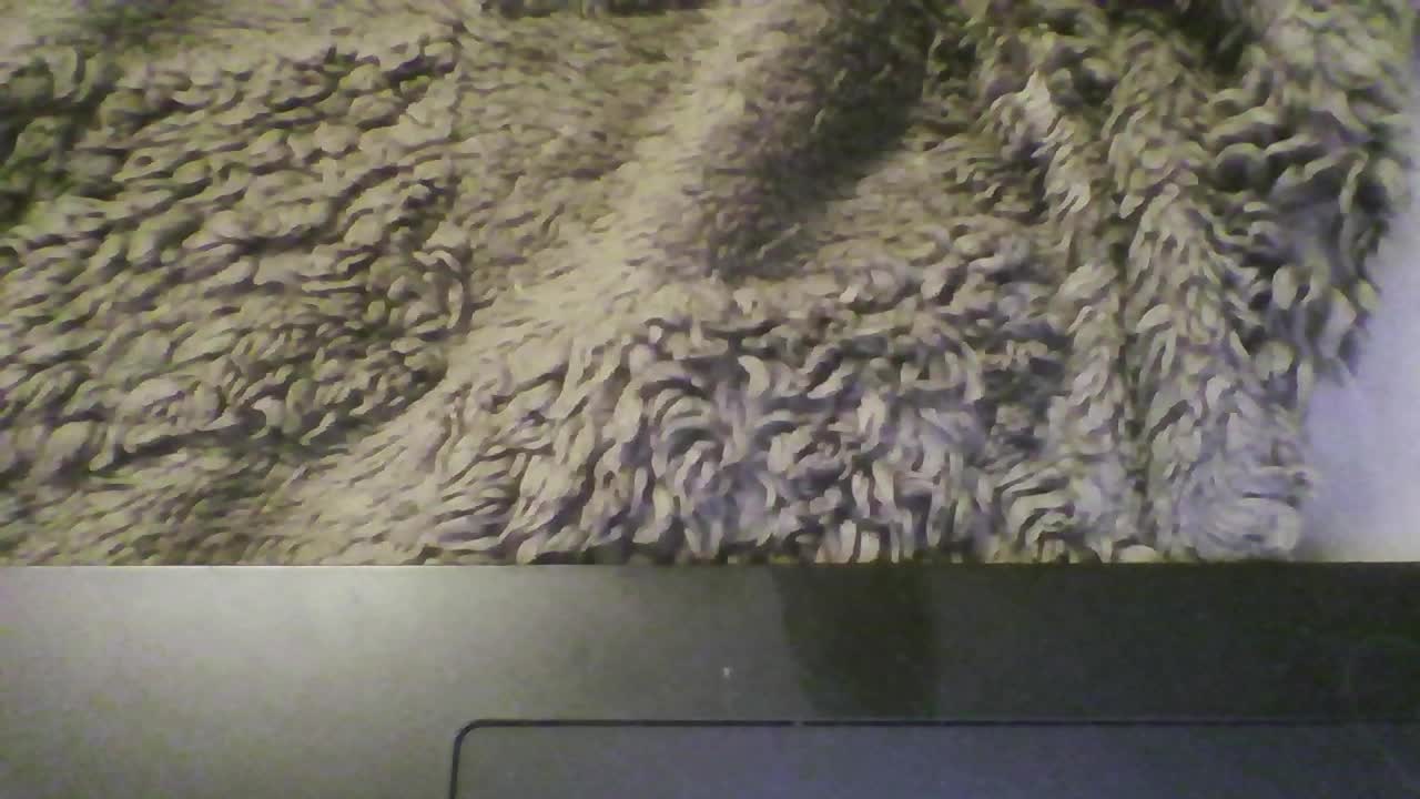 pararam124 Приват Записи 2026-03-25