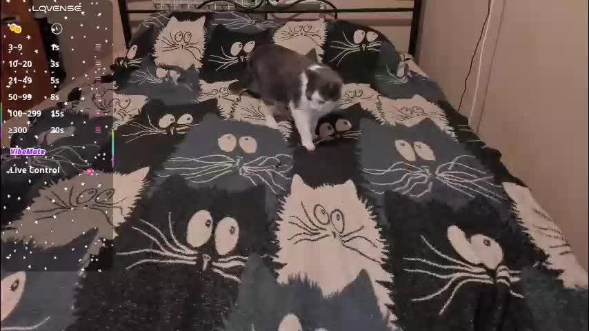 eva_zero Приват Записи 2026-03-26