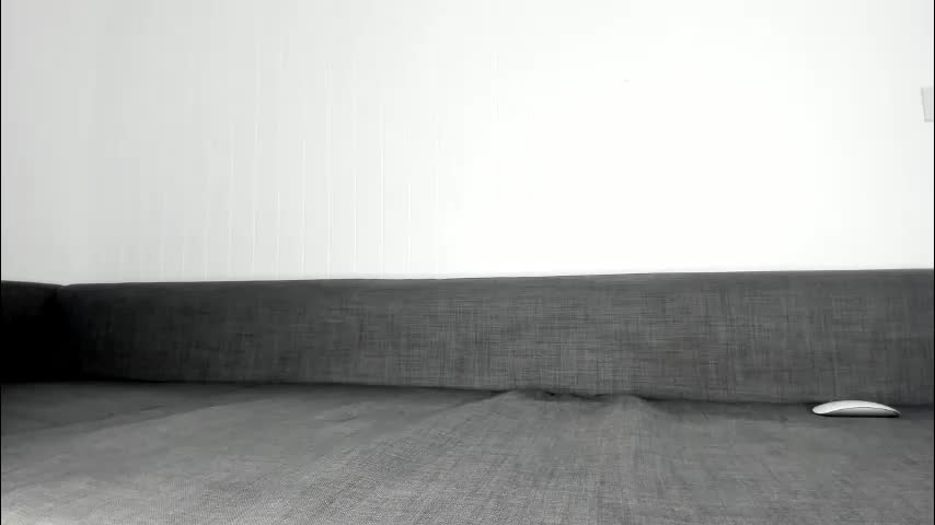 twerking_girl_ Приват Записи 2026-03-28