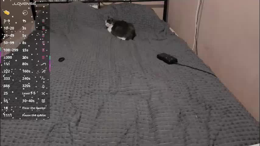 eva_zero Приват Записи 2026-03-31