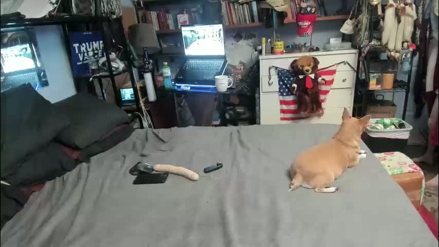 pink_black Приват Записи 2026-04-01