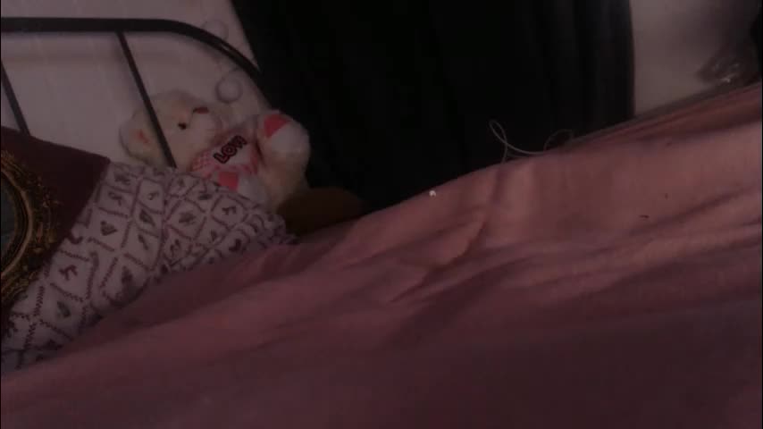 latex2003 Приват Записи 2026-04-02