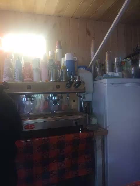 Katriona Приват Записи 2026-04-02