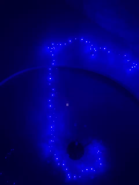 Sapiosexualka Приват Записи 2026-04-02