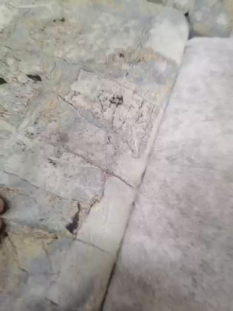 seksiparaa Приват Записи 2026-04-04