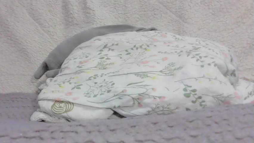 lenorrr Приват Записи 2026-04-04