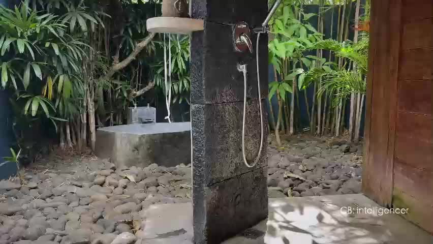 wellicaren Приват Записи 2026-04-04