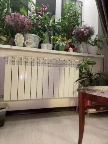 WednesdayFridayAddams Приват Записи 2026-04-05