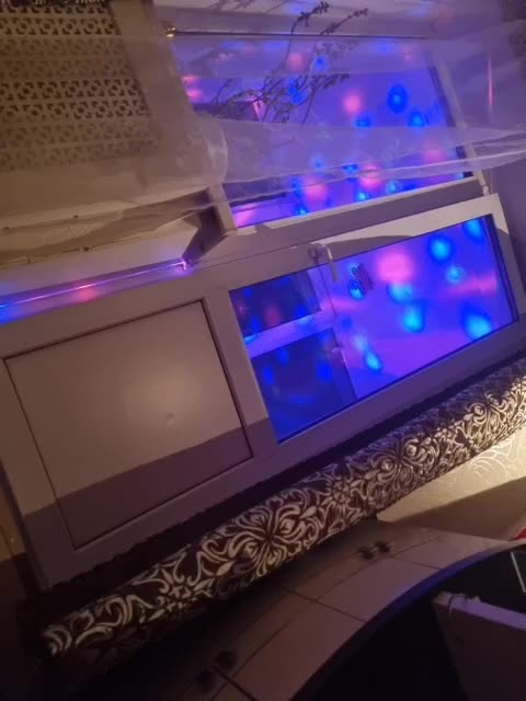 DenXXXTan Приват Записи 2026-04-05