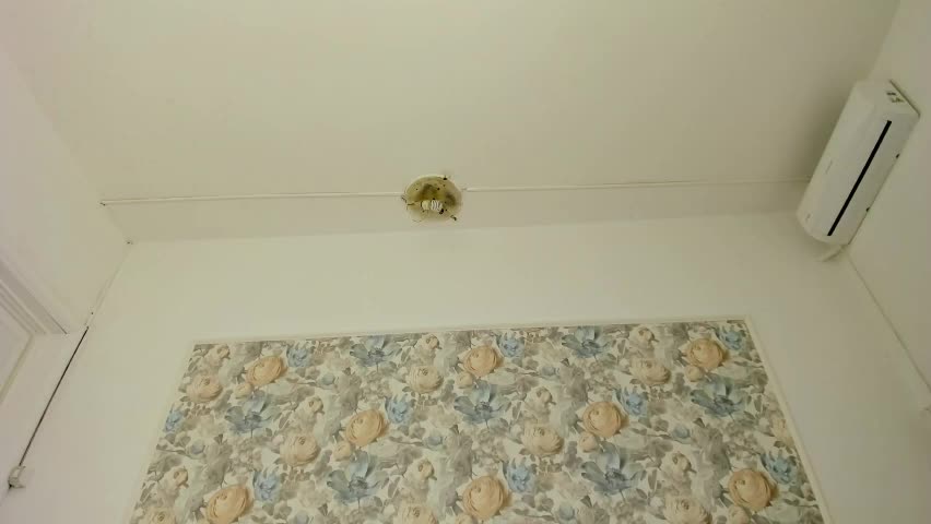 illegal_lorry Приват Записи 2026-04-09