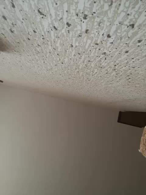 SaliiOnli Приват Записи 2026-04-09