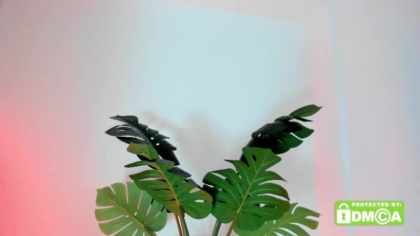 ashllovee_ Приват Записи 2026-04-09