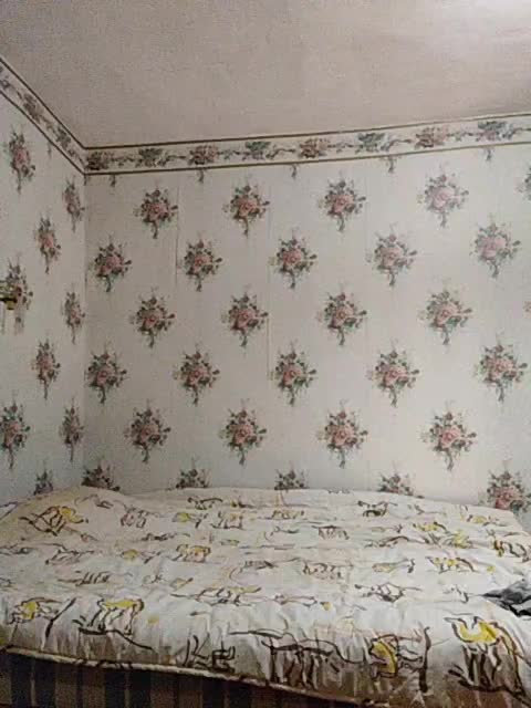 Alisa-33 Приват Записи 2026-04-10