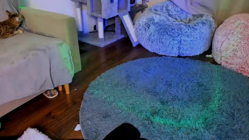 ladytrep Приват Записи 2026-04-10