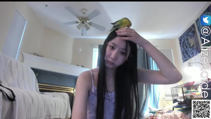 alizezaide Приват Записи 2026-04-10