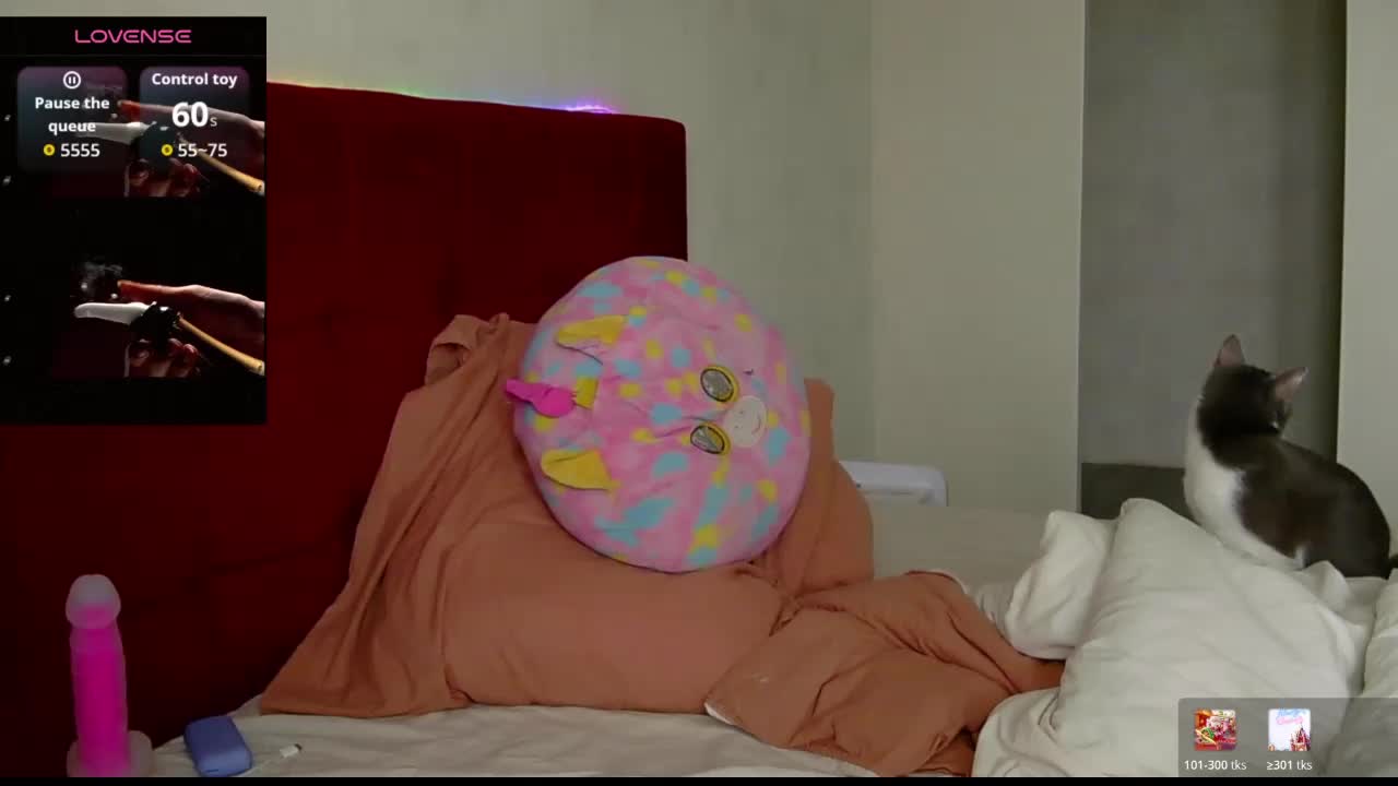 CandySurprise19 Приват Записи 2026-04-10