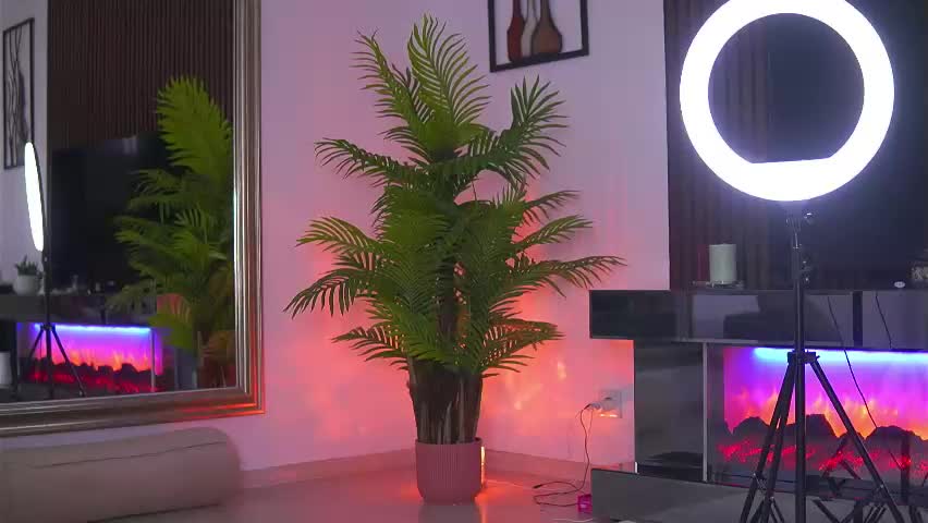 abbela_white Приват Записи 2026-04-10