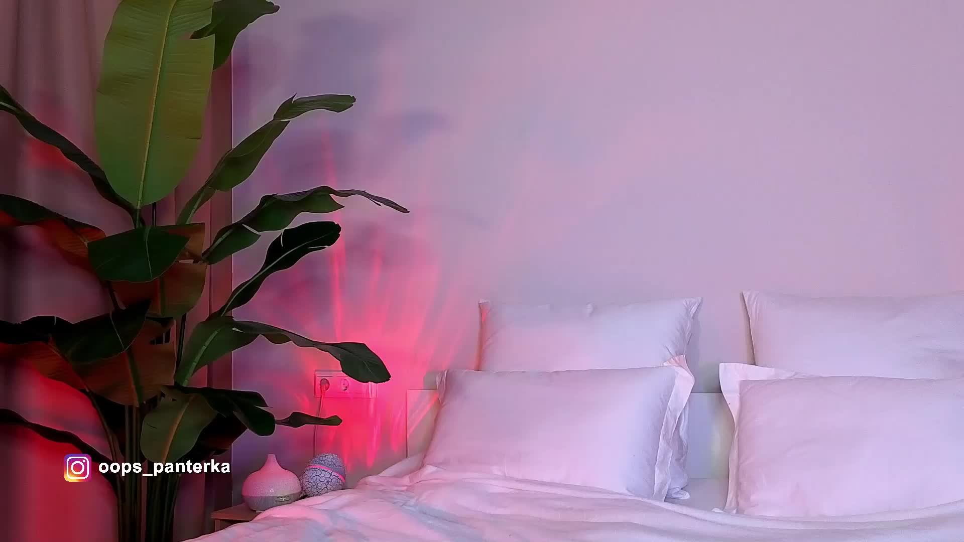 Amyleeplayss Приват Записи 2026-04-10