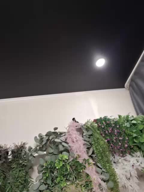 -scyrim- Приват Записи 2026-04-10