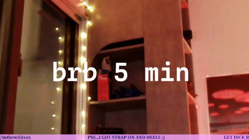 inthewildxxx Приват Записи 2026-04-13