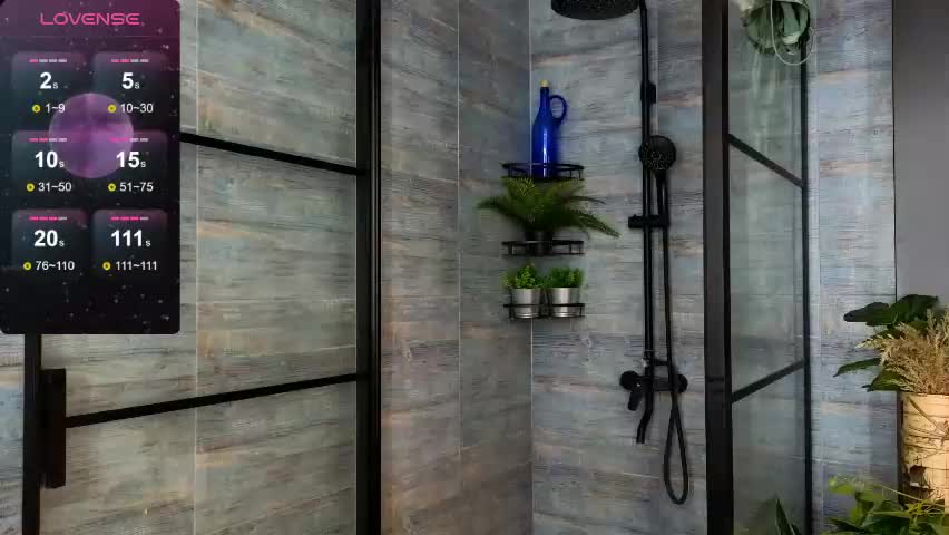 debihenks Приват Записи 2026-04-13