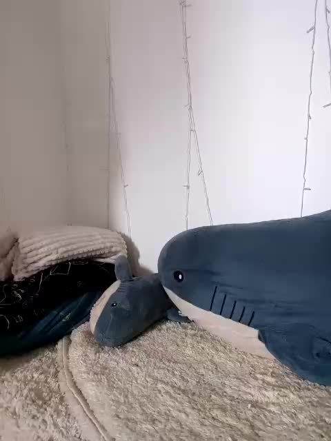 HATPAXAHA Приват Записи 2026-04-14