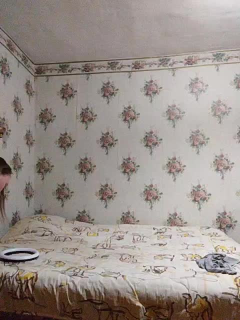 Alisa-33 Приват Записи 2026-04-15