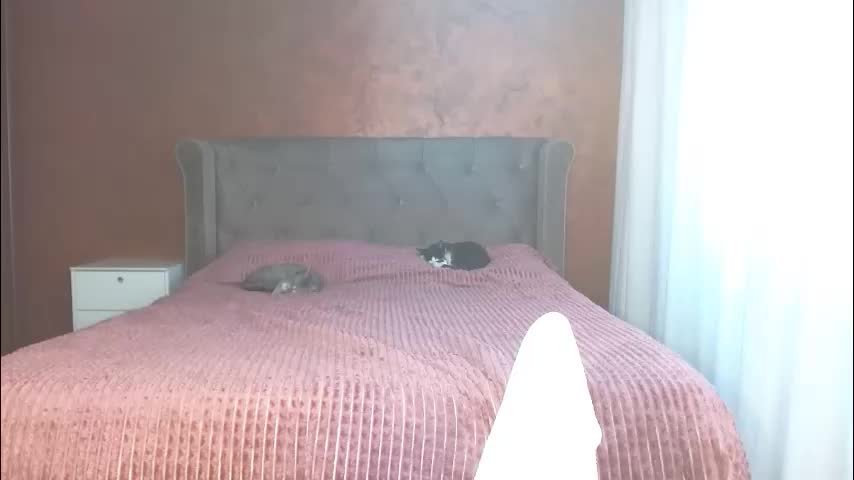 mishakiss34 Приват Записи 2026-04-15