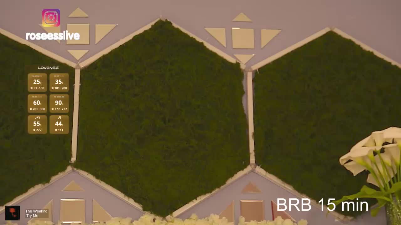 rosess_ Приват Записи 2026-04-15