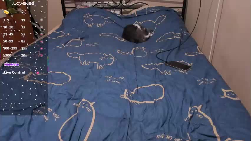 eva_zero Приват Записи 2026-04-17