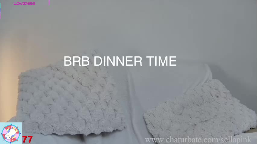 sellapink Приват Записи 2026-04-17