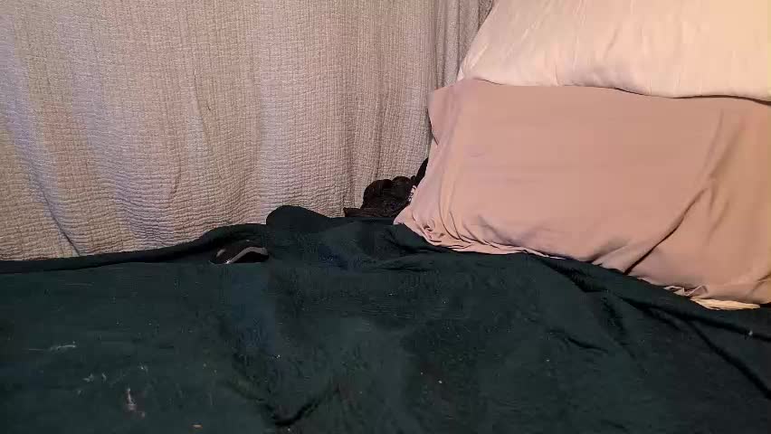 poppunk4life Приват Записи 2026-04-18