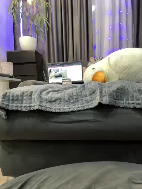 MagicMelody Приват Записи 2026-04-19