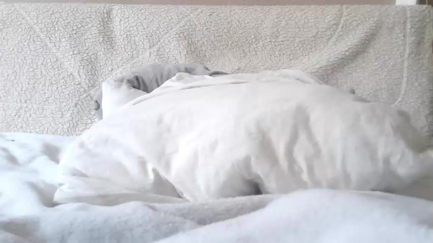 lenorrr Приват Записи 2026-04-19