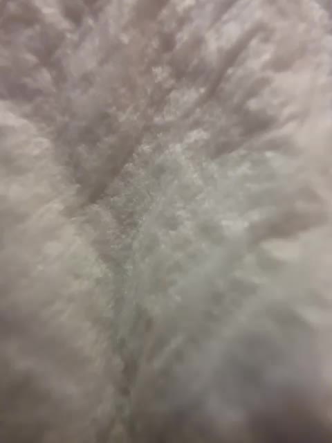 Fox-sexi Приват Записи 2026-04-19