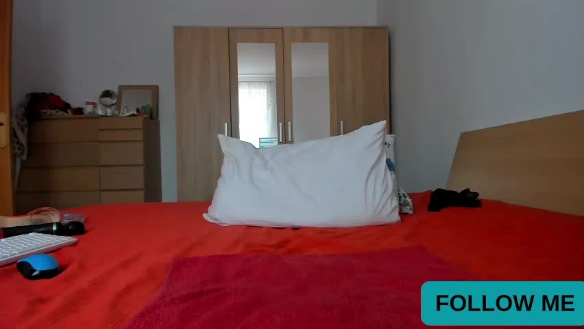 wildallisa Приват Записи 2026-04-20