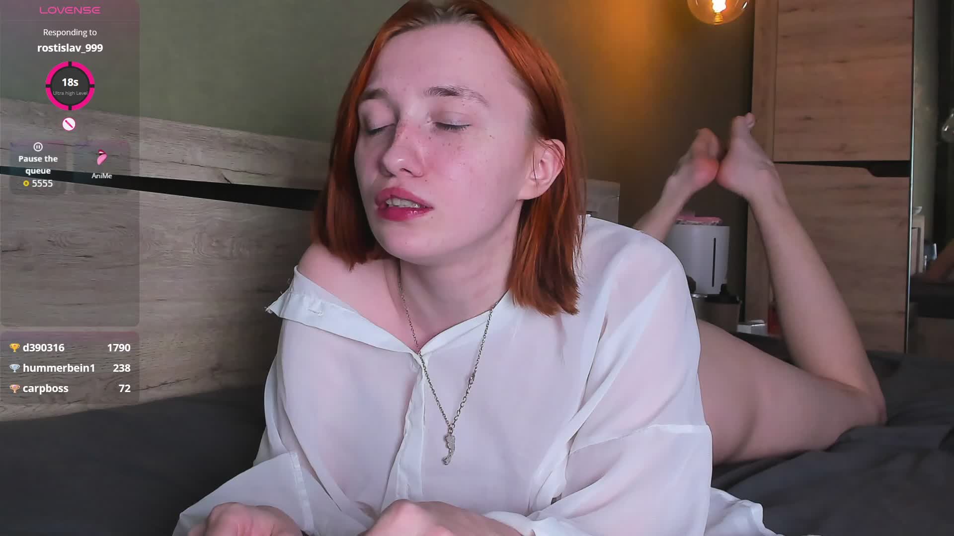 Dark-Willlow Приват Записи 2026-04-20