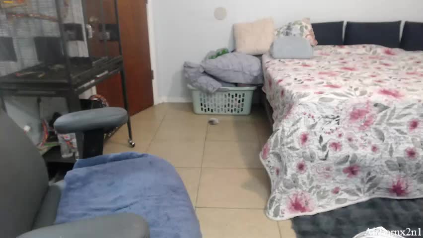 airbornx2n1 Приват Записи 2026-04-20