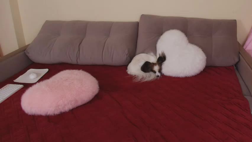 magic_touch_ Приват Записи 2026-04-21