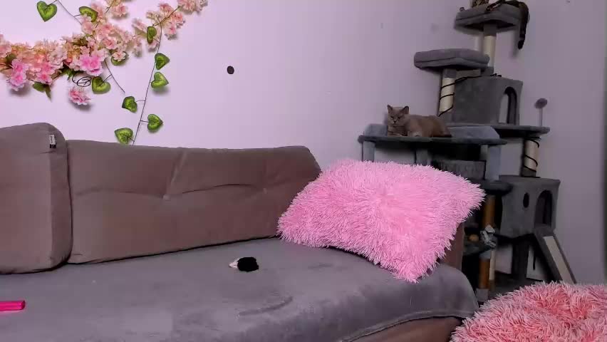 ladytrep Приват Записи 2026-04-21