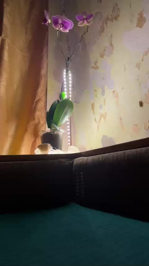 Chemezoff Приват Записи 2026-04-21