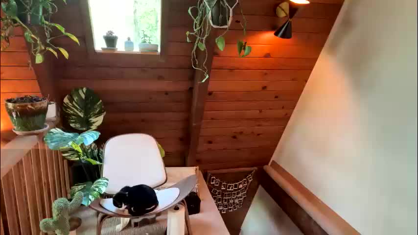 emersoncane Приват Записи 2026-04-22